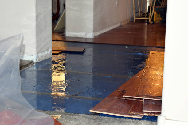 Professional Burst Pipe Cleanup technician working in Ivanhoe, CA